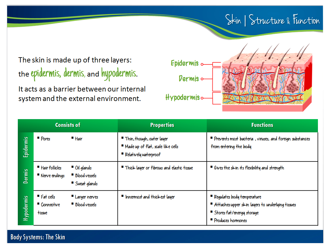 Sample of Our Work